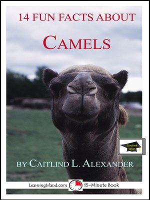 cover image of 14 Fun Facts About Camels